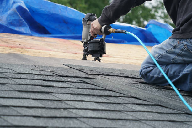 Best Roof Gutter Cleaning  in Lipatria, CA
